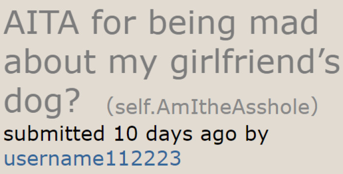 The guy decided to ask the community about his feelings toward his girlfriend's dog.