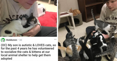 Mom Shares Inspiring Story Of How Her Autistic Son Volunteered At A Shelter To Help Kittens Get Adopted