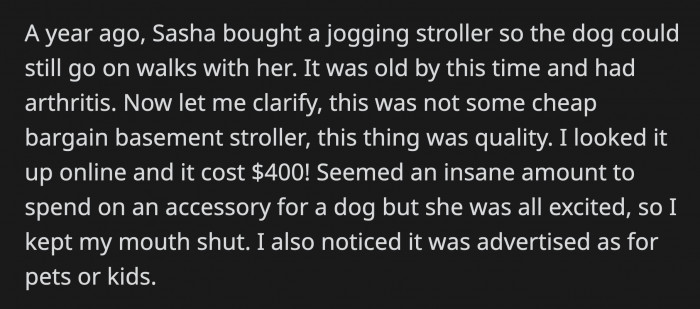 She Felt for Her Sister's Loss, but Her Mind Kept Going Back to the Stroller