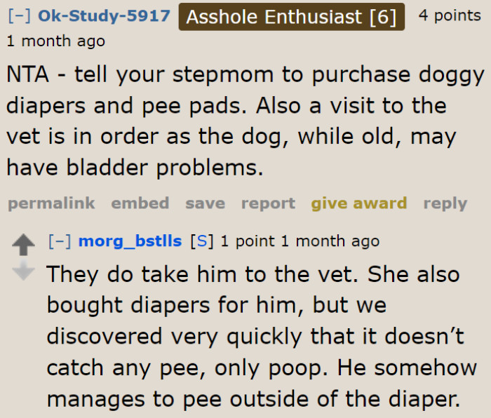 Dog Diapers Aren't Working Well, Unfortunately.