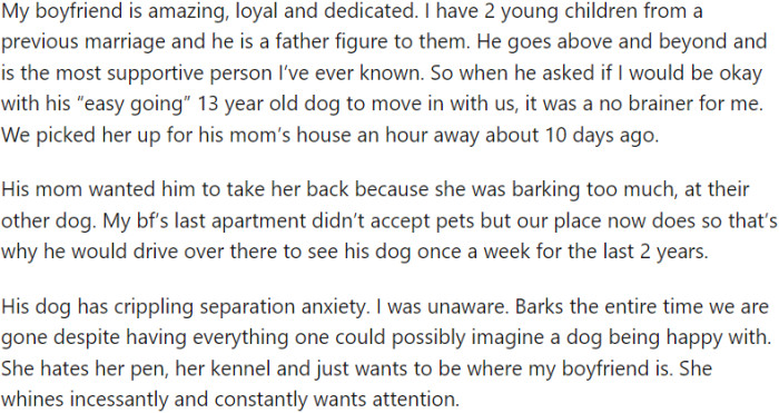 The Challenges of Living with a Partner's Dog with Separation Anxiety and the Impact It Has on the Household's Well-Being
