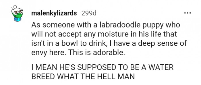 11. He Is Supposed to Be a Water Bred