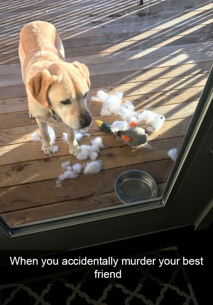 10. I am so sorry. I didn't mean it...