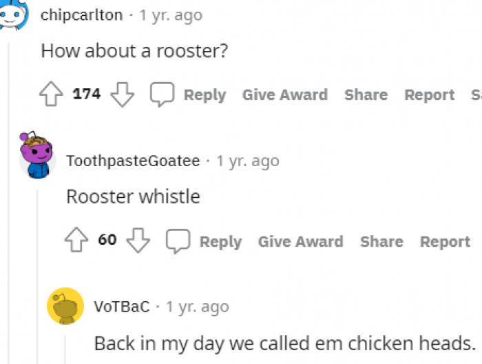 4. Does this Redditor mean getting a rooster or what?