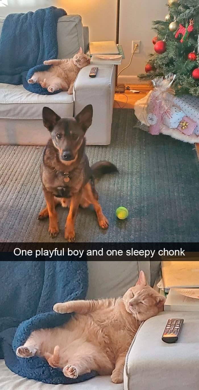 14. A fantastic combination: