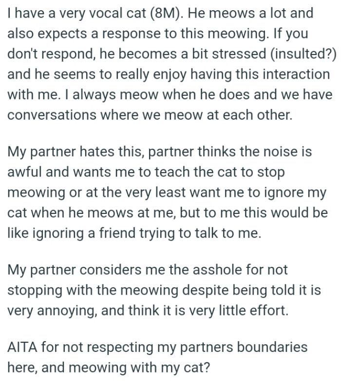 Partner thinks the noise is awful and wants him to teach the cat to stop meowing