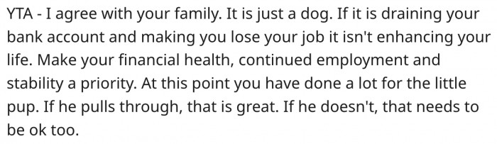 6. It is just a dog.