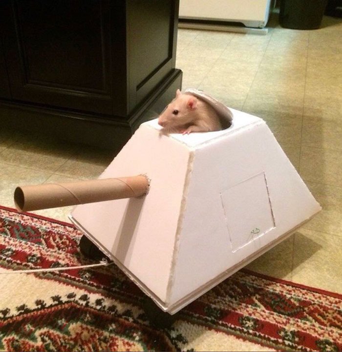 16. Let's go and defend our humans from any harm