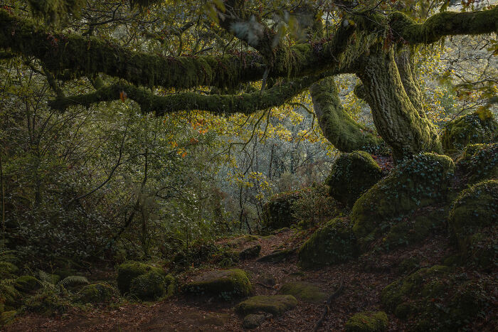 Last Stretch From The Series 'Intimate Landscape' By Abilio Magalhães