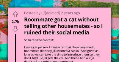 Man Reports Roommate's Social Media Account for Getting a "Secret" Cat Without Informing Other Roommates