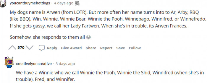 1. This dog's original name is Arwen and a plethora of nicknames