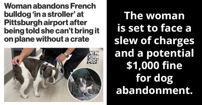 Woman Ditches Beloved Bulldog At Airport And Jets Off On Vacation After Facing Strict ‘No-Dog Crate, No-Boarding’ Policy