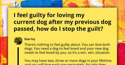 People Online Offer Awesome Advice To Grieving Person Who Feels Guilty For Loving Another Dog After The Previous One Died