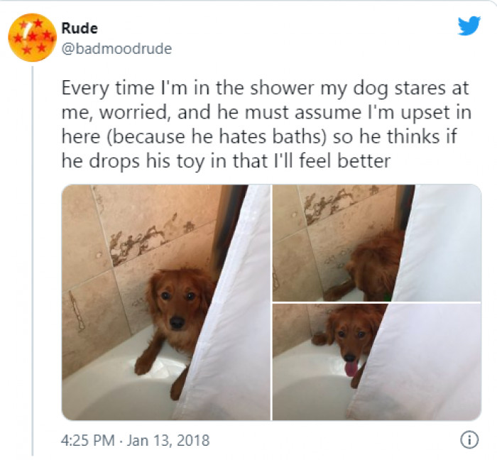 1. Oh so cute. 