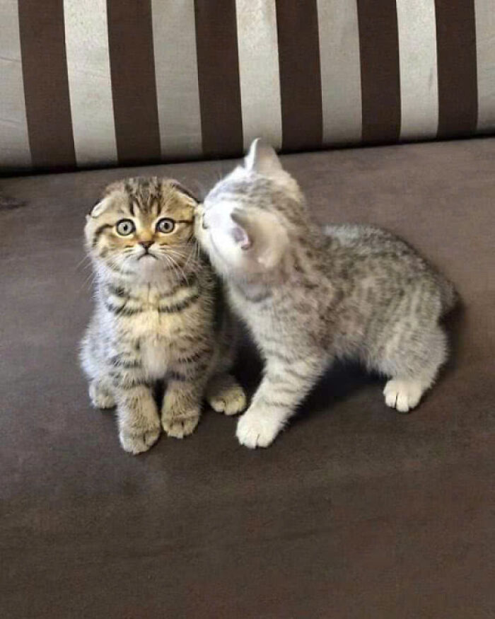 48. He wasn't expecting it