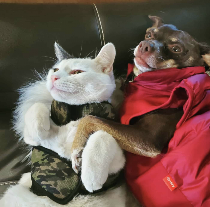 All That Driving Is Exhausting. They Need to Rest a Bit.