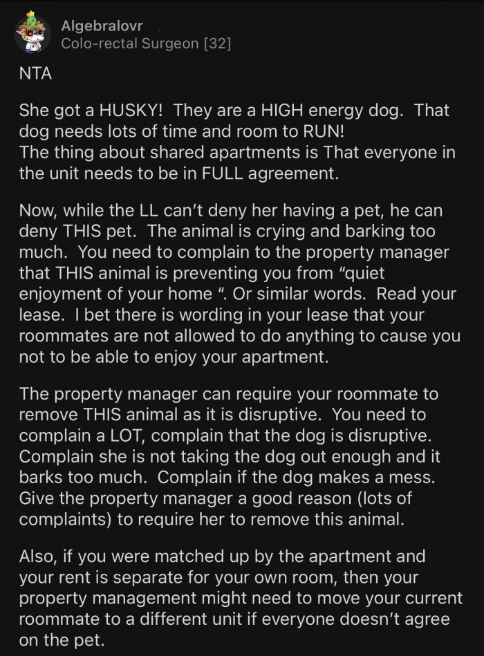 Huskies are high-energy dogs that need a lot of space.