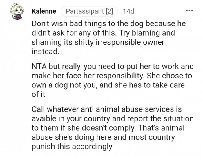 Try blaming and shaming the roommate who is the dog's owner