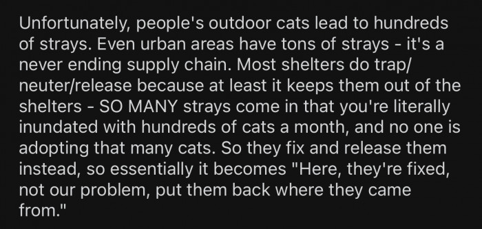 Outdoor cats lead to hundreds of strays.