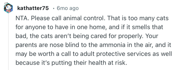 “NTA. Please call animal control. That is too many cats for anyone to have in one home.”