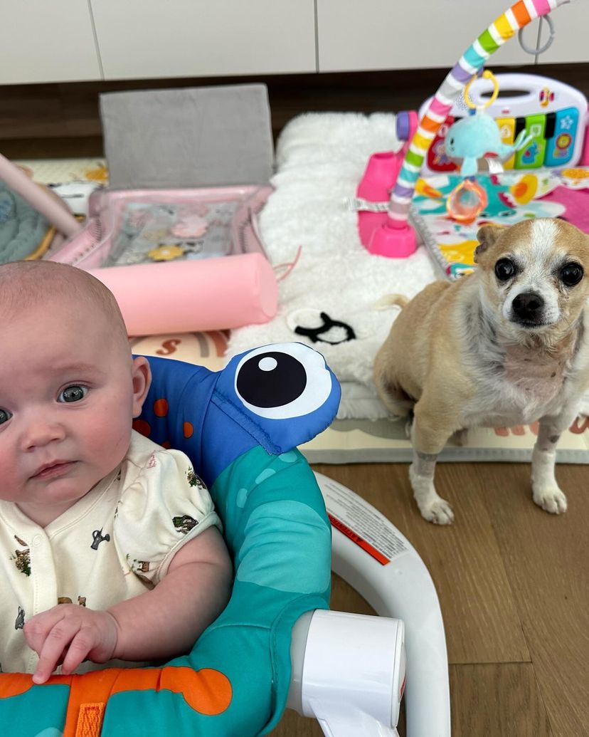 10. King may have crossed the rainbow bridge, but his love lives on in sweet moments like this—moments with his littlest companion.