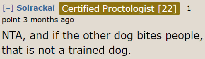 The dog probably lacks socialization; hence, the aggression.