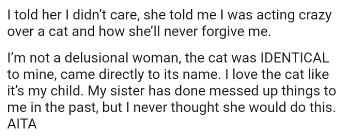 The OP's sister told her that she was acting crazy over a cat and that she’d never forgive her
