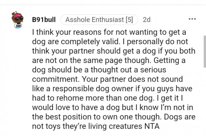 Your partner doesn't like a responsible dog owner