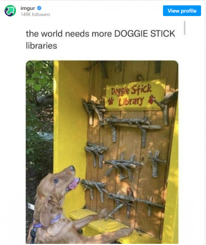 12. Who's getting a doggie stick library for their furry friends?