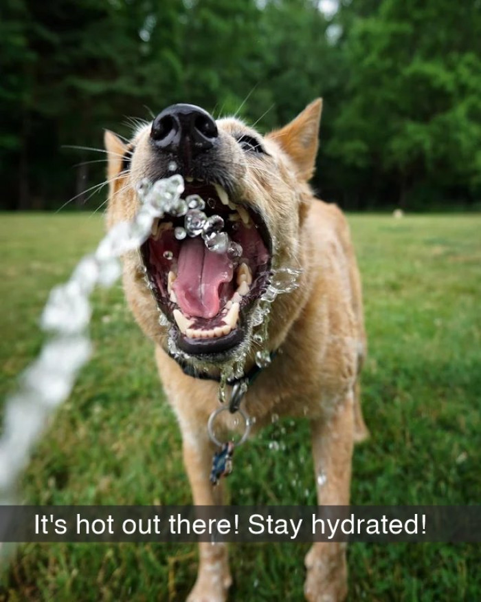 19. If you are looking for a sign to stay hydrated, this is it