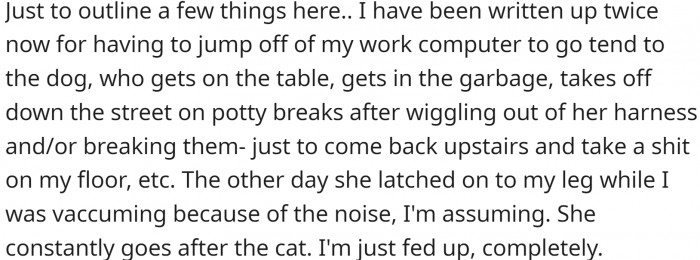 Now the situation is unbearable.