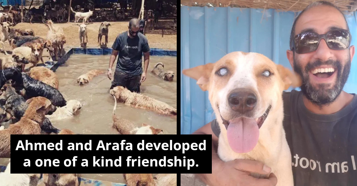 Animal Shelter Volunteer Forms Bond With Blind Rescue Dog