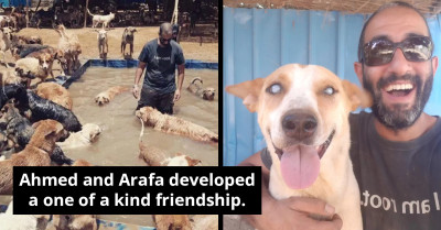 Animal Shelter Volunteer Develops Unique Friendship With The Blind Dog He Rescued