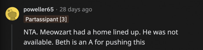 The home for Meowzart was already waiting for him before Beth swooped in