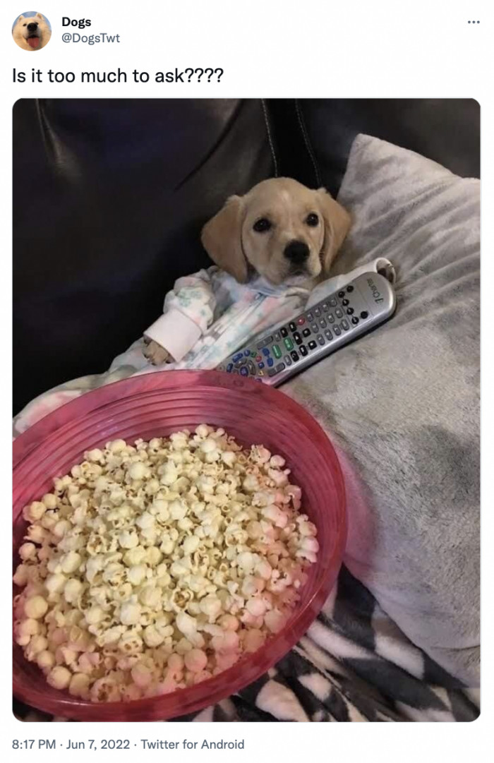 8. Netflix and chill? Why not!