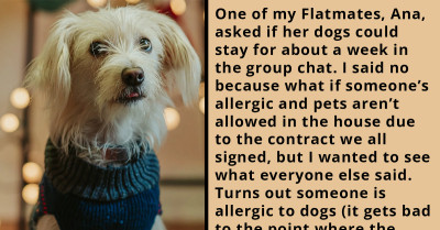 Redditor Has To Be The Bad Guy And Forbid Roommate To Bring Their Dog Even Though Other Roommates Are Okay With It