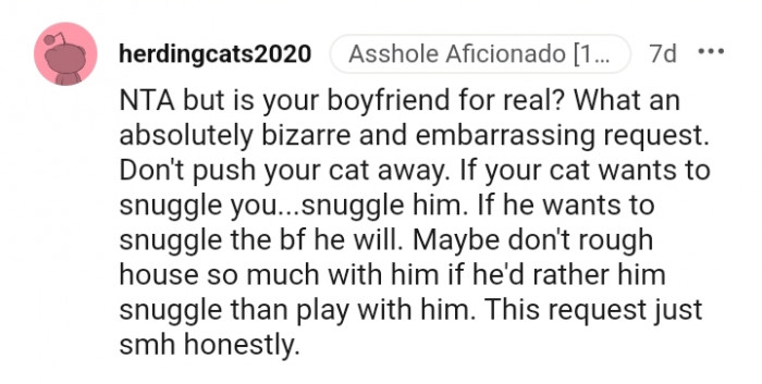 Don't roughhouse so much with him