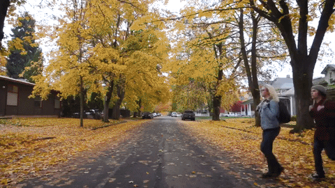 She can save up and travel on her own soon