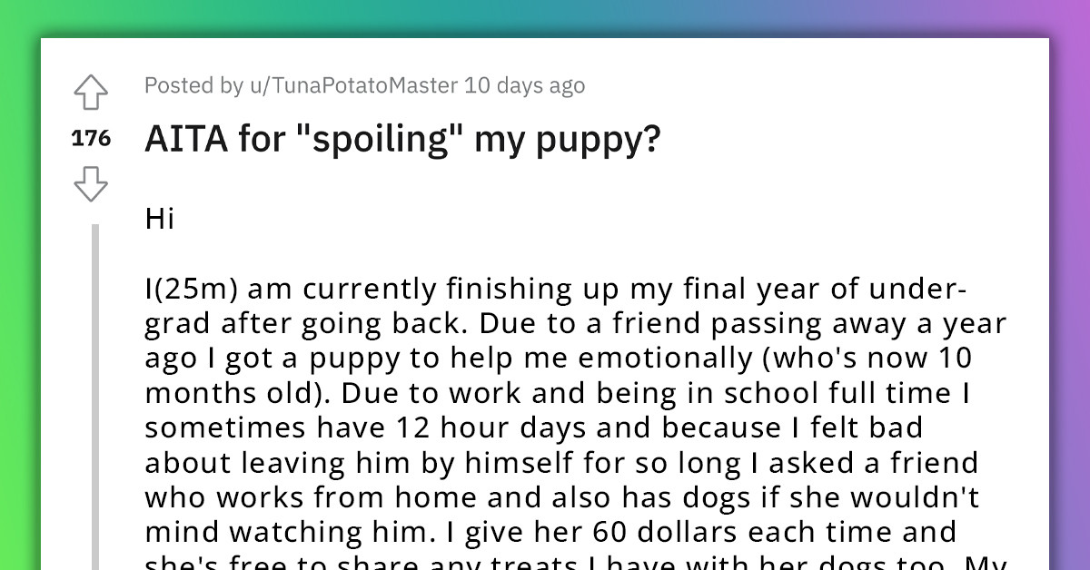 Man Pays Friend To Watch His Dog For Twelve Hours Each Day, GF Thinks Dog Needs To Learn To Spend Time Alone