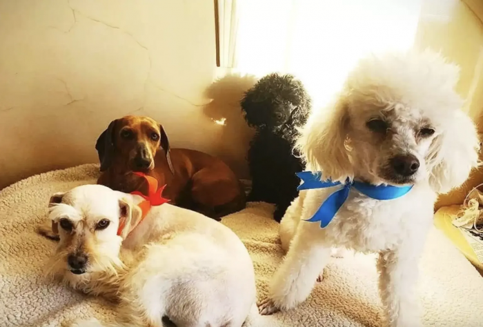 Thankfully, no one was hurt, but Mina certainly gave everyone a big scare.