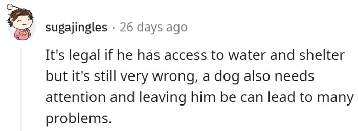 That's acceptable, but it's still a bit cruel. A dog needs the company of its owner.