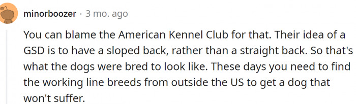 The American Kennel Club has weird ideas about how these dogs should look