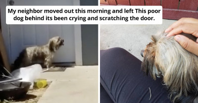 Concerned Samaritan Captures The Moment His Neighbor's Dog Realized He Had Been Abandoned By His Family