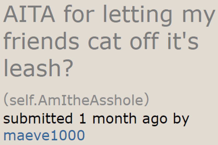 The friend clearly stated that she's not supposed to let the cat out without a leash. So why is this even a question?