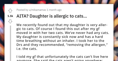 Man Asks GF Who Just Moved In To Rehome Her Cats After Discovering His Daughter Is Allergic, GF Refuses