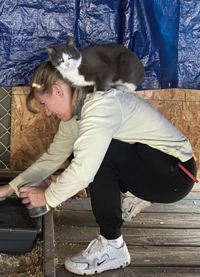 True love between humans and cats looks exactly like this: