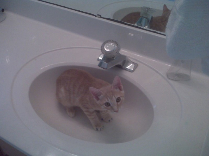 8. This little cutie must be having a good time in there.