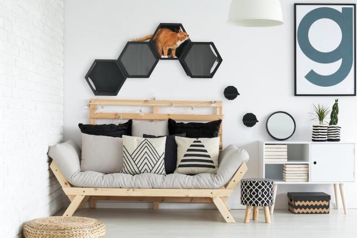 and actually enhance the atmosphere.