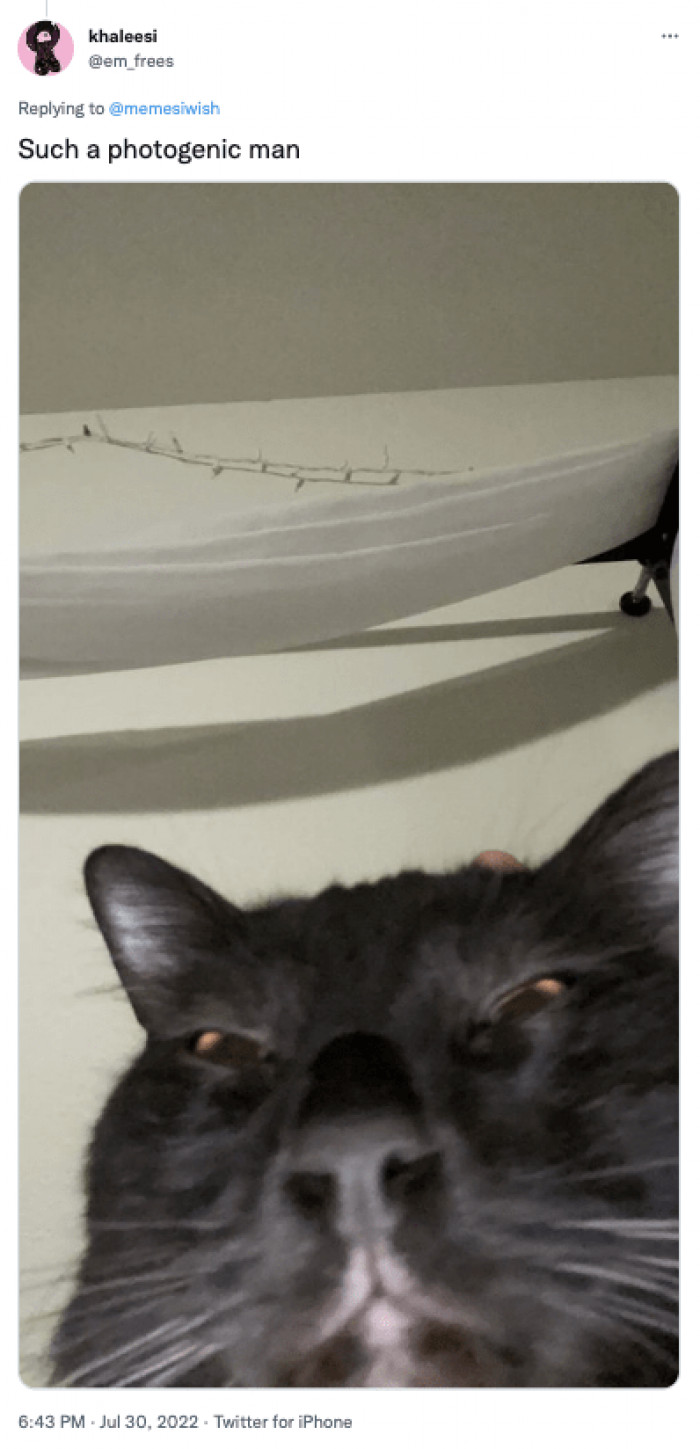 9. "Yep. I know I look good on camera. Get out of the way."