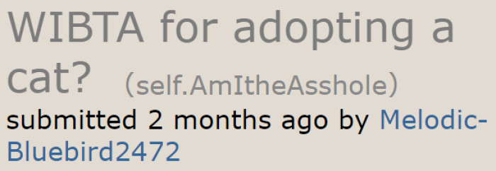 A woman is doubting her decision to get a cat because of her brother's objection.